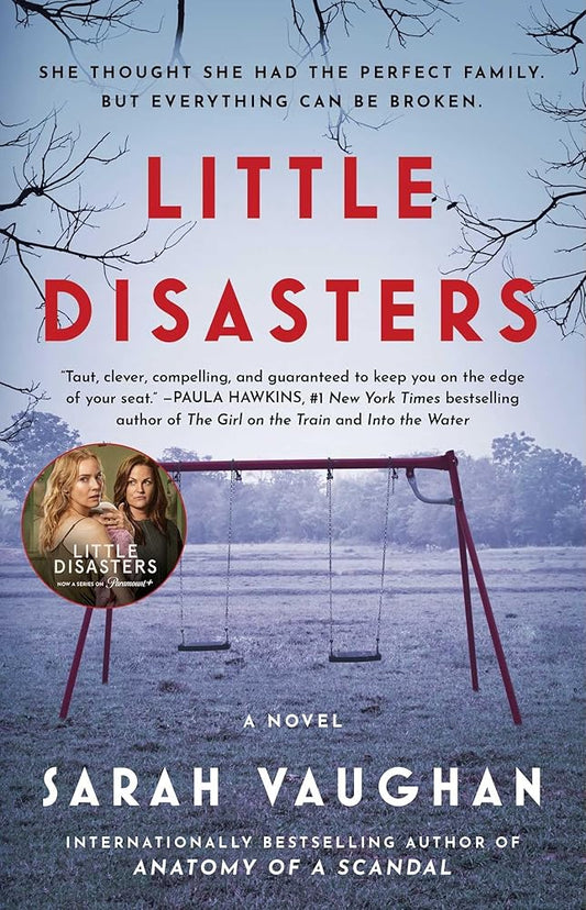 Little Disasters: A Novel cover image