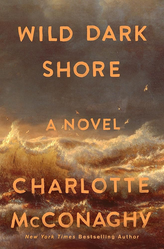 Wild Dark Shore: A Novel cover image